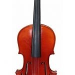 VIOLIN ARTISTICO PROFESIONAL 4/4 PAINTING FLAME PEARL RIVER MV018