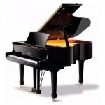 PIANO DE COLA 160 NEGRO C/BANCA PEARL RIVER PRGP010S