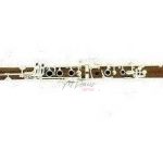 CLARINETE MADERA DE ROSA 552 SISTEMA BOEHM 17 LLA SILVERTONE SLCL010
