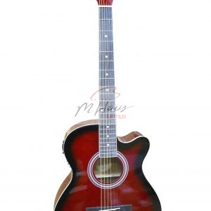 Guitarra Electroacústica SGF238CERB
